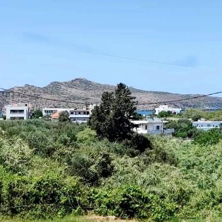# 6 Giorgos & Chara Apartments Nea Kydonia 外观 照片